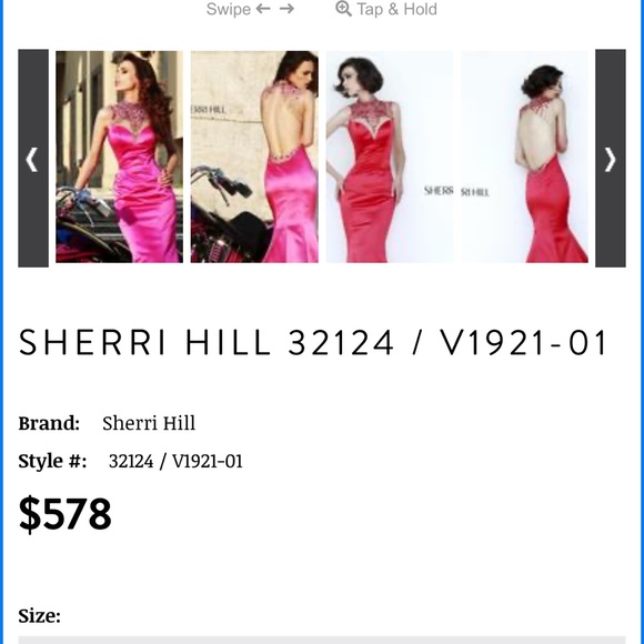 Evening Gown - Picture 5 of 5